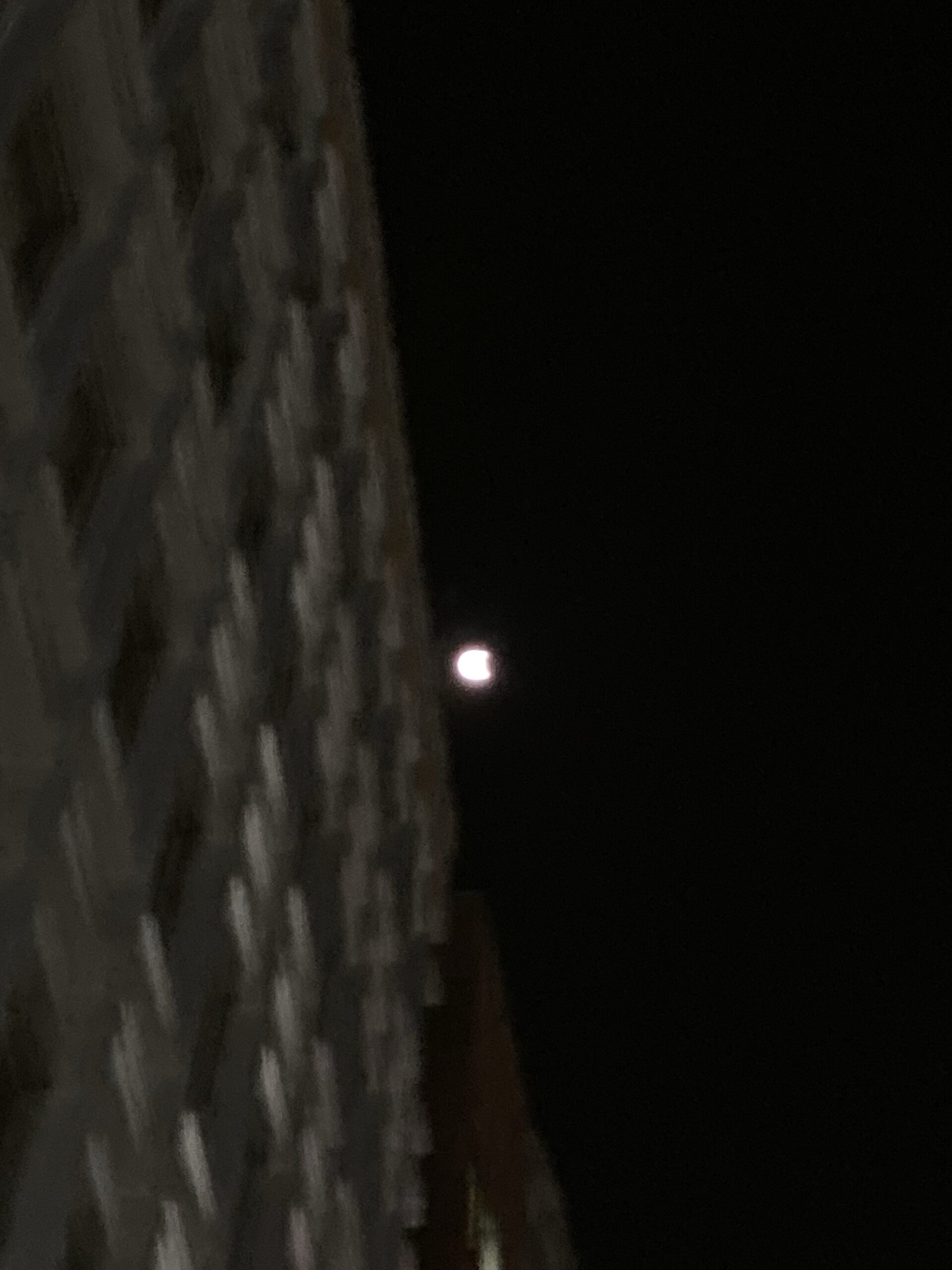 The moon is still bright